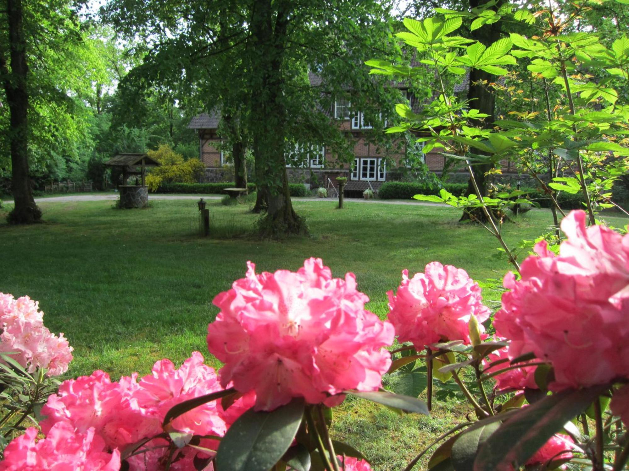 Bed and Breakfast Haus Heidetal Bispingen Exterior foto