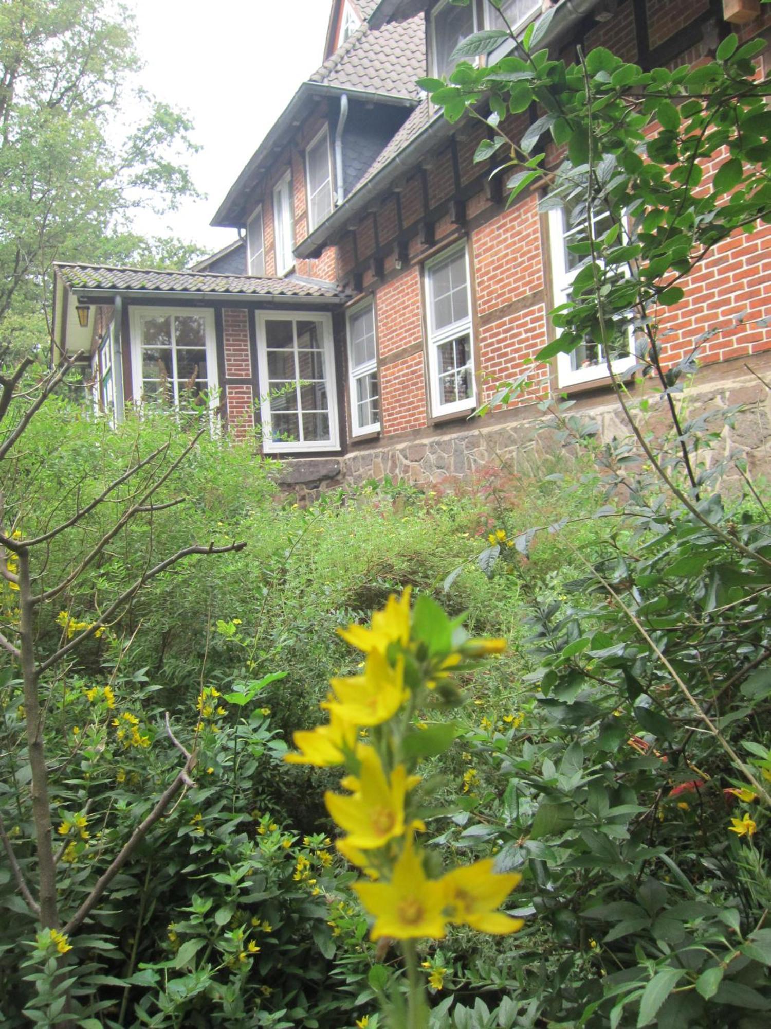 Bed and Breakfast Haus Heidetal Bispingen Exterior foto
