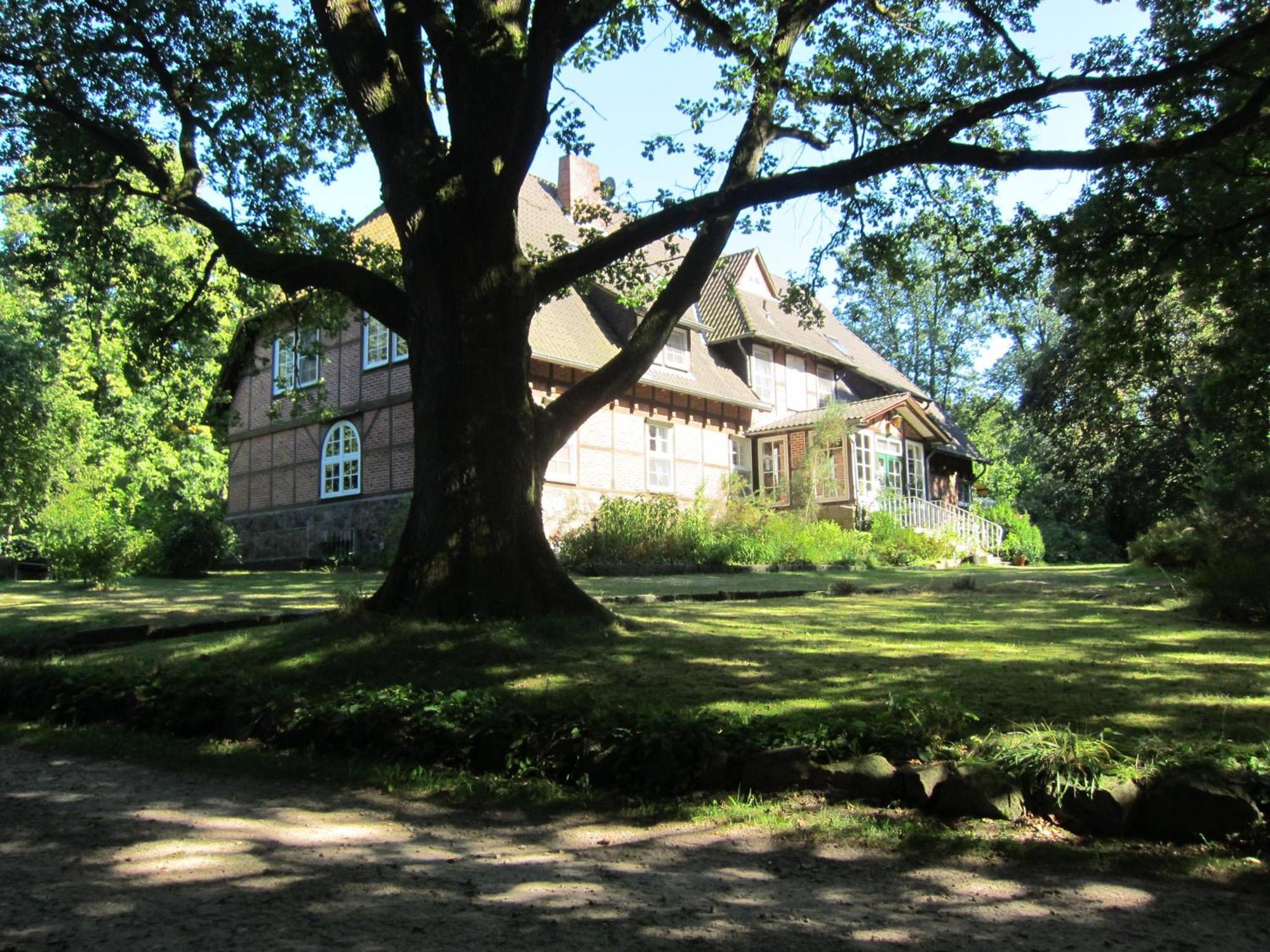 Bed and Breakfast Haus Heidetal Bispingen Exterior foto